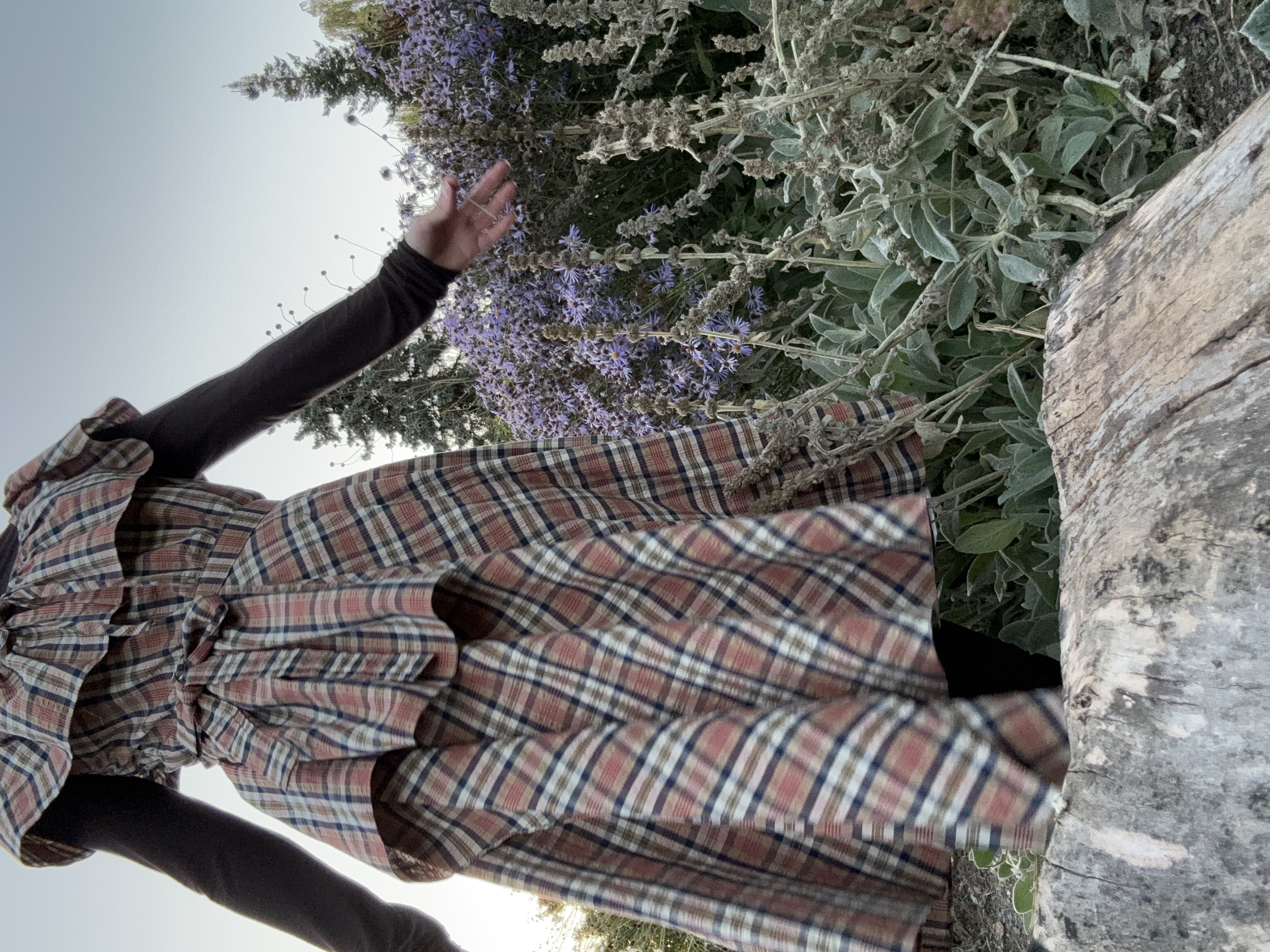 Alice Dress